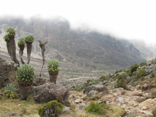 Fast im Barranco Camp