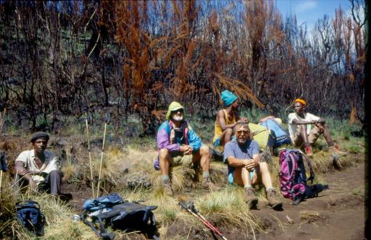 Rast zwischen Mandara und Horombo