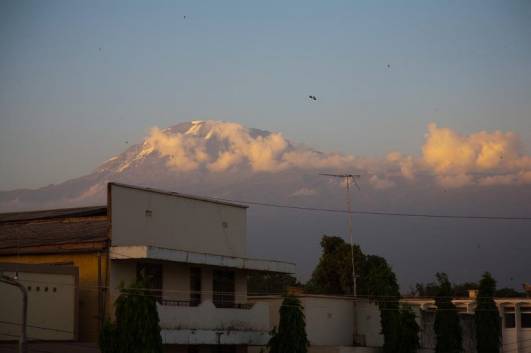 Der Kibo von Moshi aus gesehen