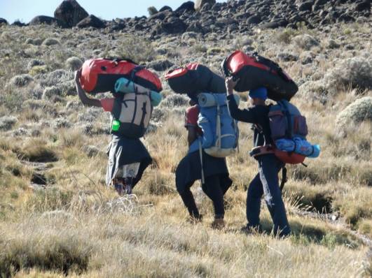 Porter von Chagga Tours