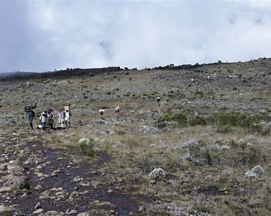 Porter auf dem Track