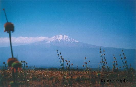Blick auf den Kibo 2003