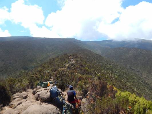 Zwischen Big Tree Camp und Shira 1