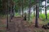 1.Tag - Rongai Trail