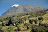 Am Marangu Trail