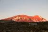 Kibo im Abendlicht (Machame-camp)
