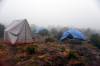 Nebel am Kikeleva Camp