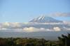 Kilimanjaro
