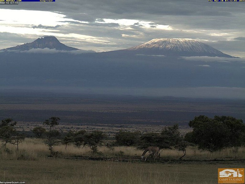 Datei:2016 03 10 07-15 Kanzi-Webcam 800px.jpg