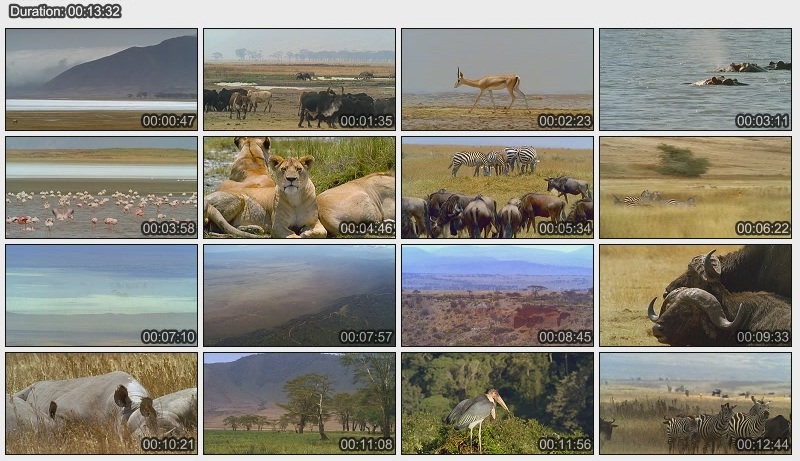Datei:Faszination Afrika Ngorongoro.jpeg