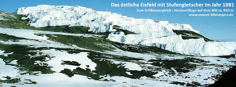 Datei:1981 Stufengletscher 800x295px.jpg