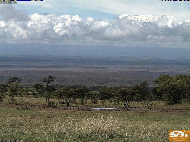 Datei:2016 11 20 11-12 Kanzi Kibo-Webcam 800px.jpg