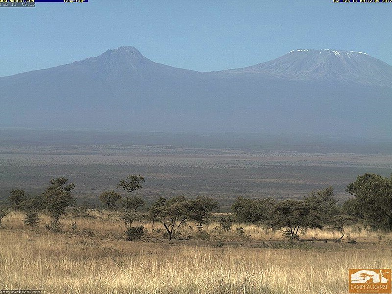 Datei:2017 02 13 Kanzi Webcam 800px.jpg