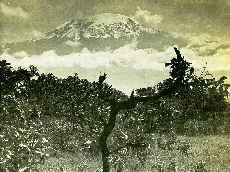 Datei:1909 Top of Mt Kilimanjaro MacQueen-Dutkewich-Expedition 800.jpg