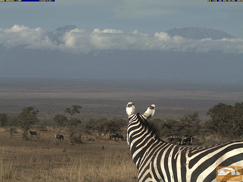 Datei:2018 02 28 Kilimanjaro Webcam Chyulu Hills.jpg