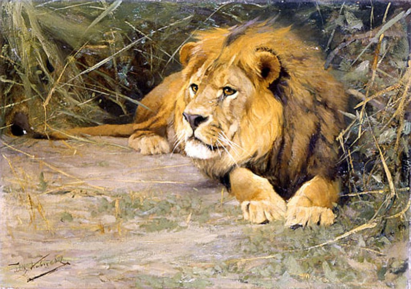 Datei:Wilhelm Kuhnert (1865-1926) Verdächtiges Geräusch 800px.jpg