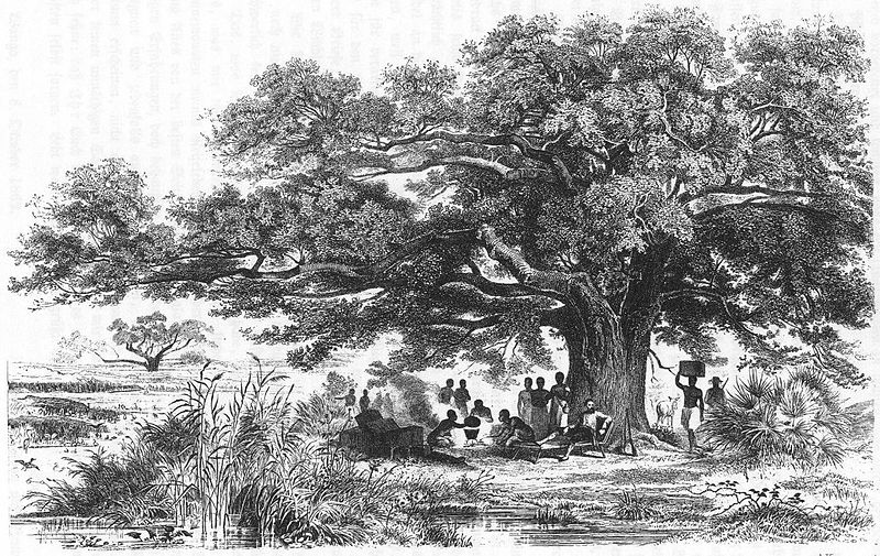 Datei:Karl Klaus von der Decken Rast-unter-Baum 800px.jpg