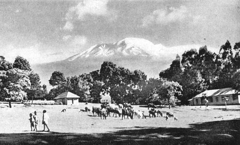 Datei:1910 Kilimandscharo von Madschame aus AK 800x483.jpg