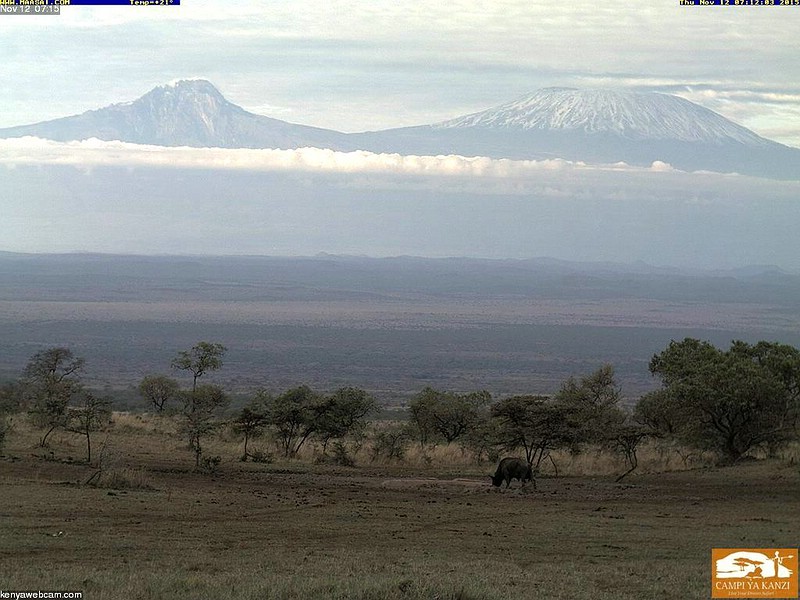 Datei:2015 11 12 07-15 Webcam Kanzi Camp 800px.jpg