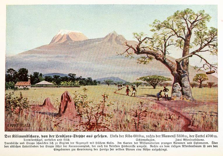 Datei:Ernst Platz - Kilimandscharo mit Baobab - 1928.jpg