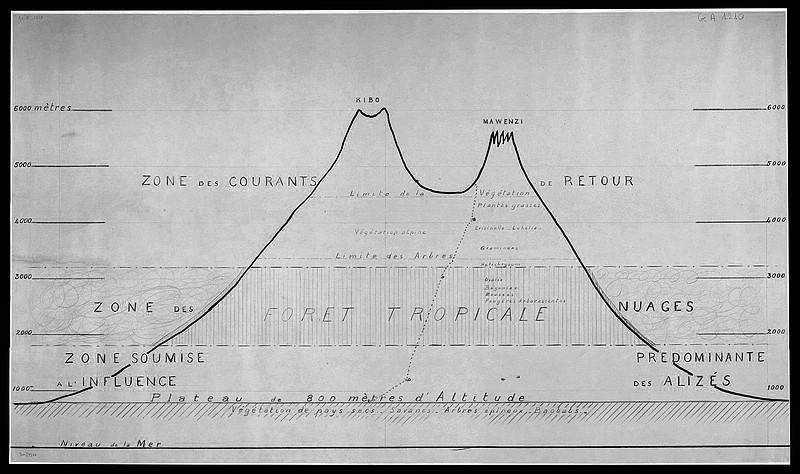 Datei:1925 Kibo La végétation selon les altitudes-Louis Cuisinier.jpg
