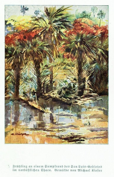 Datei:1932 Michael Matthias Kiefer Sumpfrand San-Luis-Gebiet Gran-Chaco.jpg