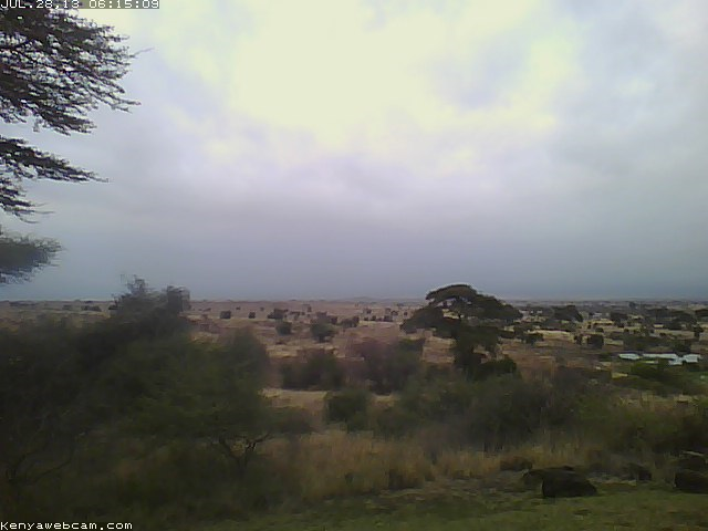 Datei:2013 07 28 tortilis webcam.png