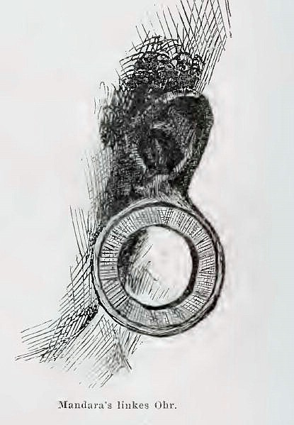 Datei:1884 H H Johnston Mandaras Ohr 600px.jpg