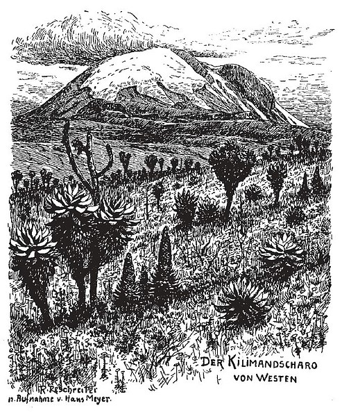 Datei:1889 Der Kilimandscharo von Westen in Purtscheller Erschließer der Berge 600px.jpg