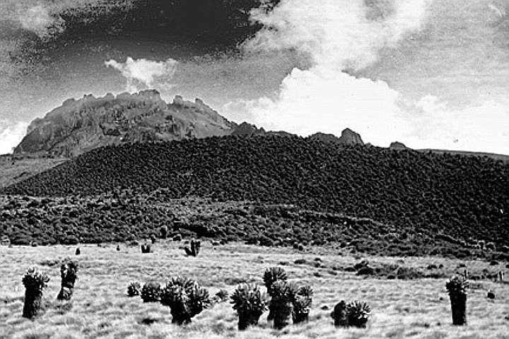 Datei:04 1945 mawenzi flickr 720.jpg
