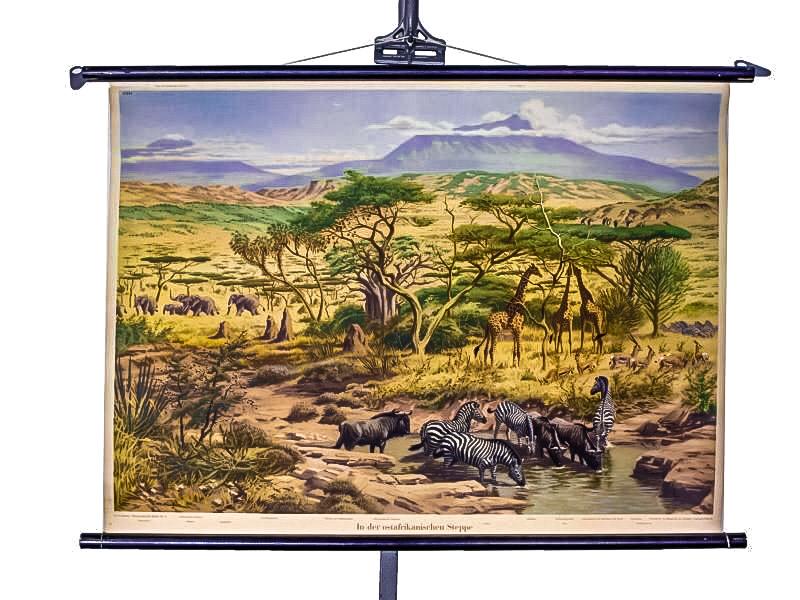 Datei:1960 Schulwandkarte Ostafrikanische Steppe M Kiefer.jpg