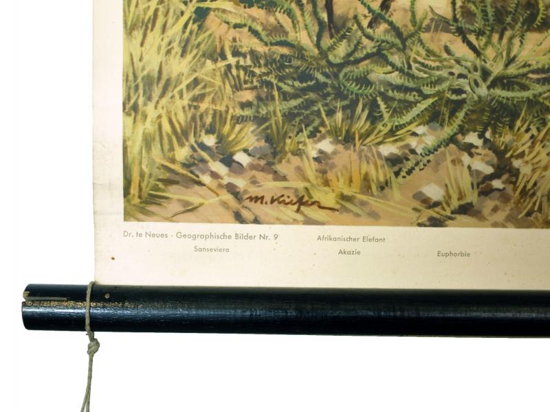 Datei:1960 Schulwandkarte Ostafrikanische Steppe M Kiefer 03.jpg