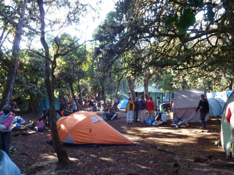 Datei:BigTreeCamp.JPG