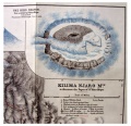 1890 Meyer Krater-Karte Kilimanjaro.jpg