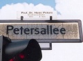 Berlin-Wedding Petersallee Straßenschild.jpg