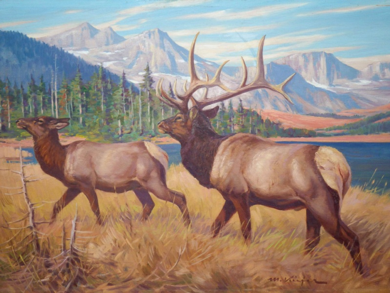 Datei:2012 Ausstellung M-M-Kiefer Wapiti.jpg
