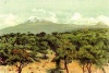 Der Kilimandscharo von Moschi aus 1898.jpg