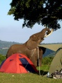Vorschaubild der Version vom 16. April 2012, 09:21 Uhr