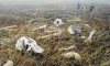 Elephantgraveyard kilimanjaro 800x480px.jpg