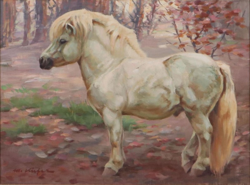 Datei:1970 Shetlandpony Michael Kiefer.jpg
